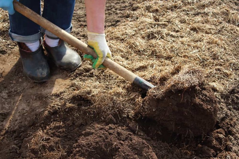Door de winter beschadigde tuinbedden:11 reparatie- en restauratietips 