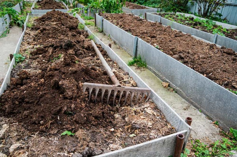 Door de winter beschadigde tuinbedden:11 reparatie- en restauratietips 
