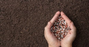 Fertilización de plantas de invierno:consejos esenciales para una vegetación próspera 