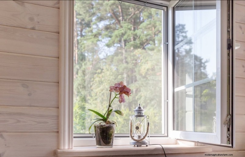 Winterorchideeënverzorging:deskundige tips voor bloeiende bloemen 