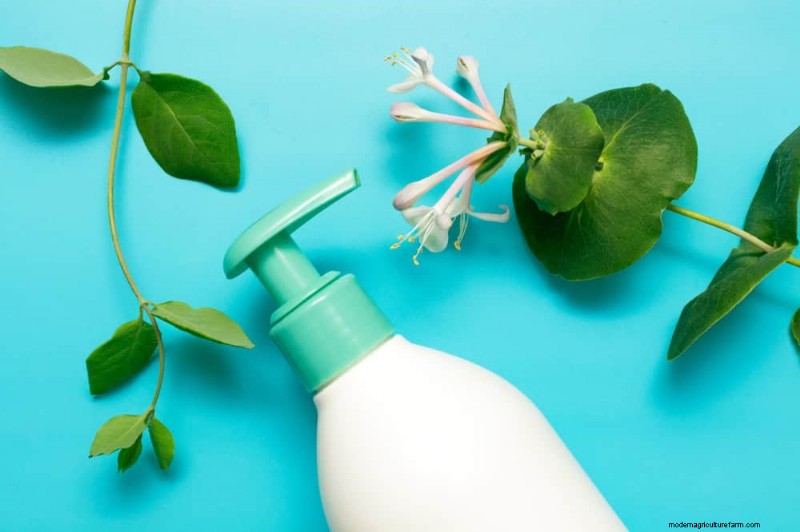 健康な植物:11 の効果的な葉の掃除方法 