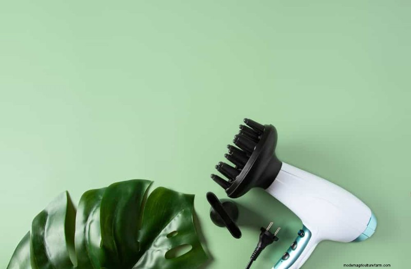 健康な植物:11 の効果的な葉の掃除方法 