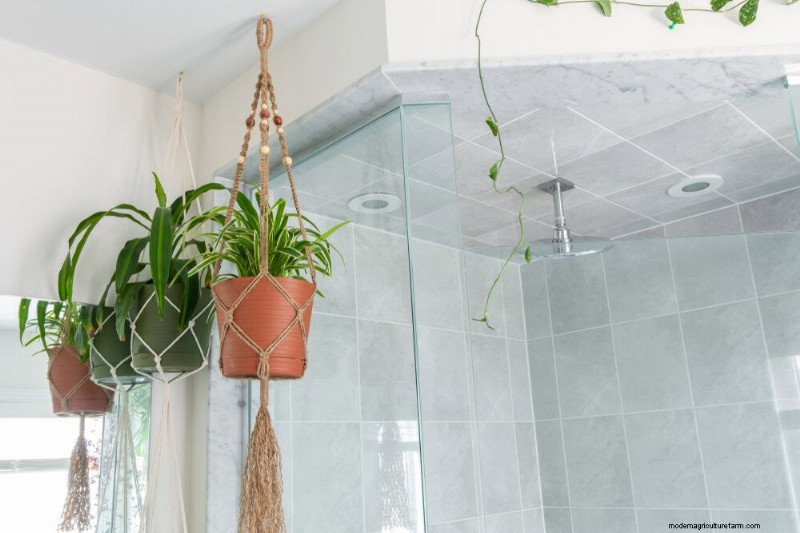 Plantideeën voor kleine appartementen:door ontwerpers goedgekeurde ruimtes 