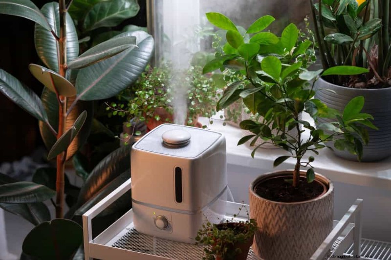 Verzorging van winterplanten:vermijd deze 12 fouten en zorg ervoor dat uw kamerplanten bloeien 