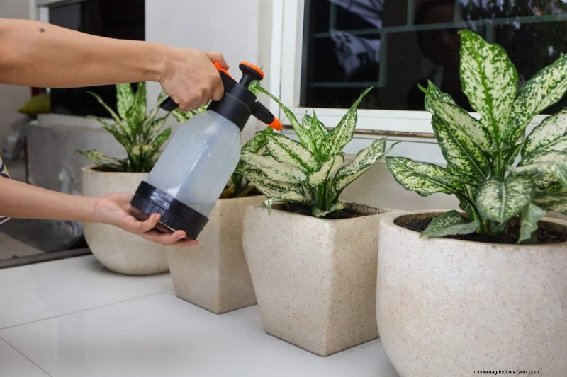 冬の根腐れから植物を守る:14 の専門家による水やりテクニック 