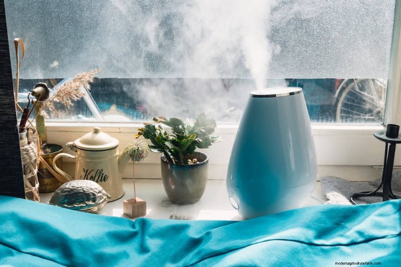 Pflanzenpflege im Winter:Vermeiden Sie diese 11 häufigen Fehler 