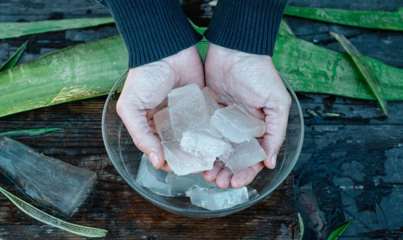 Aloe Vera-Pflege:Expertentipps für blühende Pflanzen 
