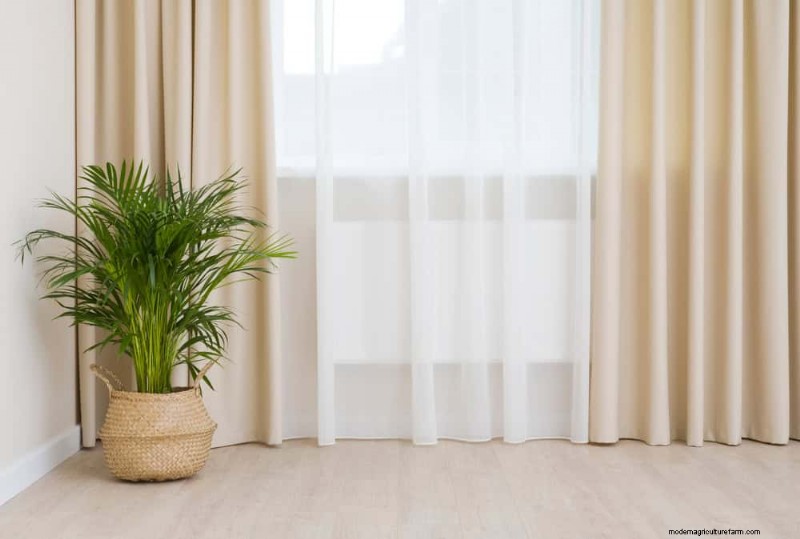 Bescherm uw planten:12 manieren om u te beschermen tegen koude ramen + temperatuurgids 