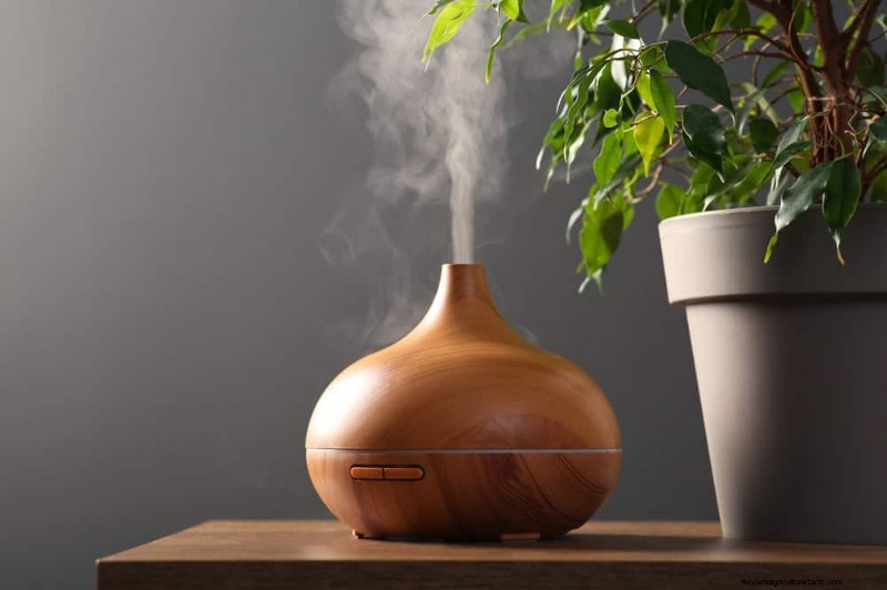 Bescherm uw planten:12 manieren om u te beschermen tegen koude ramen + temperatuurgids 