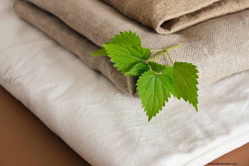 Bescherm uw planten:12 manieren om u te beschermen tegen koude ramen + temperatuurgids 