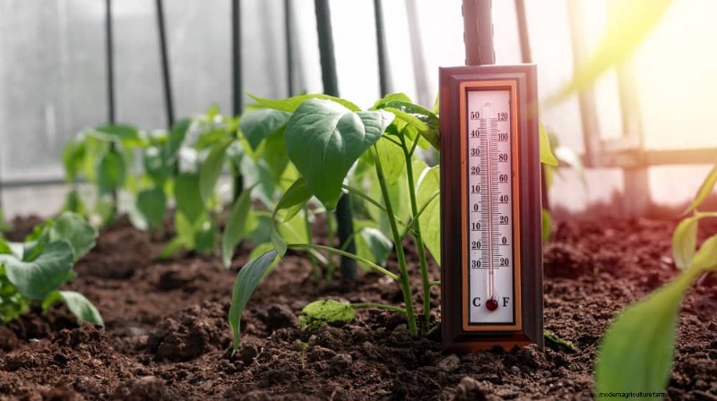 Bescherm uw planten:12 manieren om u te beschermen tegen koude ramen + temperatuurgids 