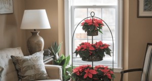 Secretos de exhibición de Poinsettia:consejos de diseñador para decoración festiva 