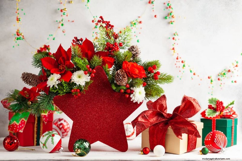 Geheimnisse der Weihnachtsstern-Präsentation:Designer-Tipps für die festliche Dekoration 