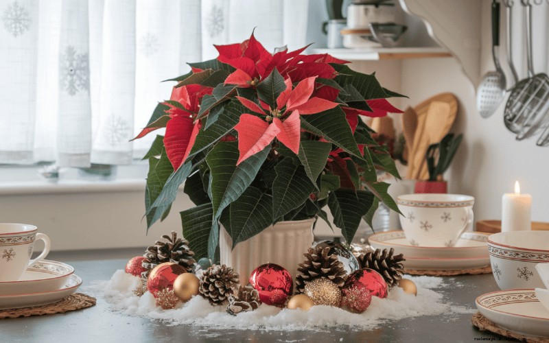 Geheimnisse der Weihnachtsstern-Präsentation:Designer-Tipps für die festliche Dekoration 