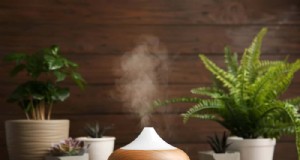 Proteja sus plantas:12 consejos de expertos para el cuidado del invierno 