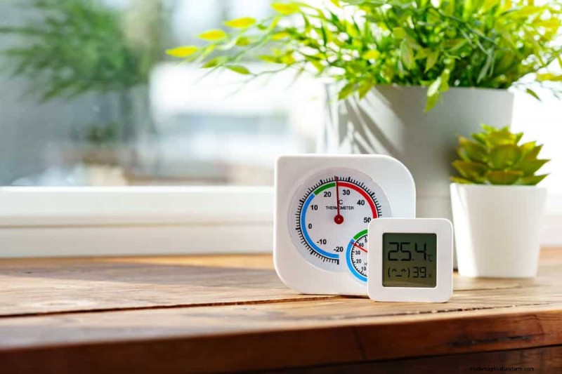 Essentiële verzorgingshulpmiddelen voor kamerplanten:een complete gids voor bloeiende planten 