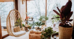 Winterverzorging voor vloerplanten:11 bewezen tips voor bloeiend blad 