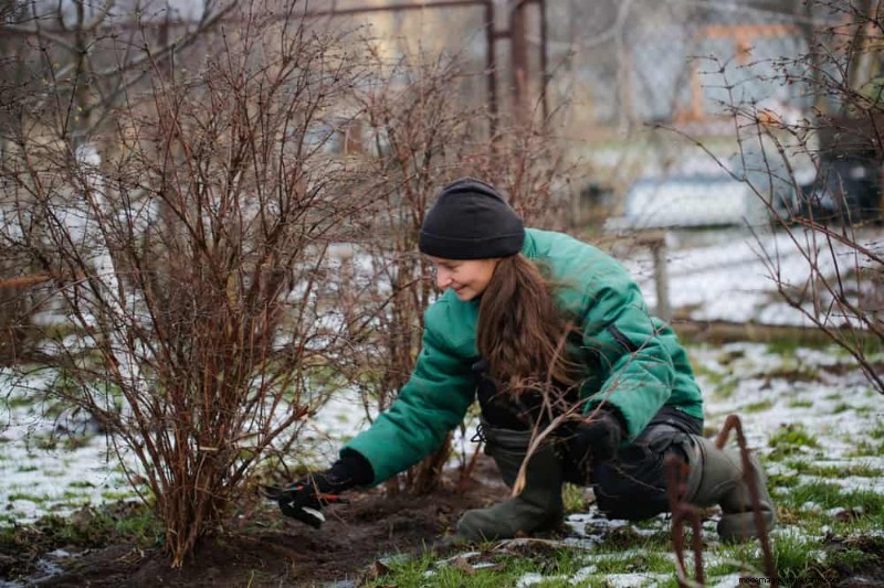 Sblocca il giardinaggio invernale:7 benefici inaspettati per la salute e il raccolto 