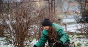 Sblocca il giardinaggio invernale:7 benefici inaspettati per la salute e il raccolto 