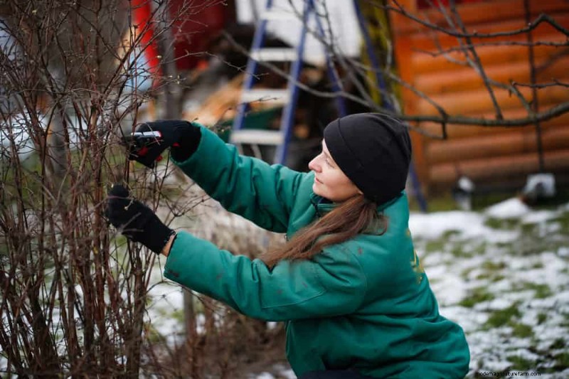 Sblocca il giardinaggio invernale:7 benefici inaspettati per la salute e il raccolto 