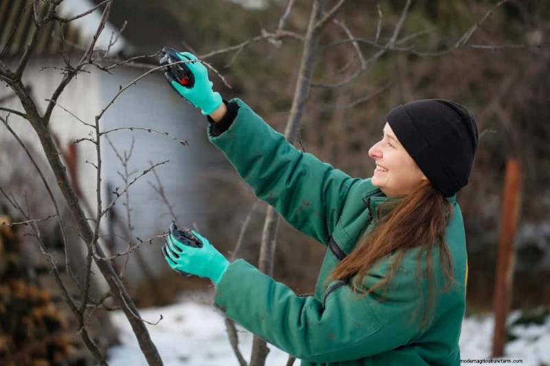 Sblocca il giardinaggio invernale:7 benefici inaspettati per la salute e il raccolto 