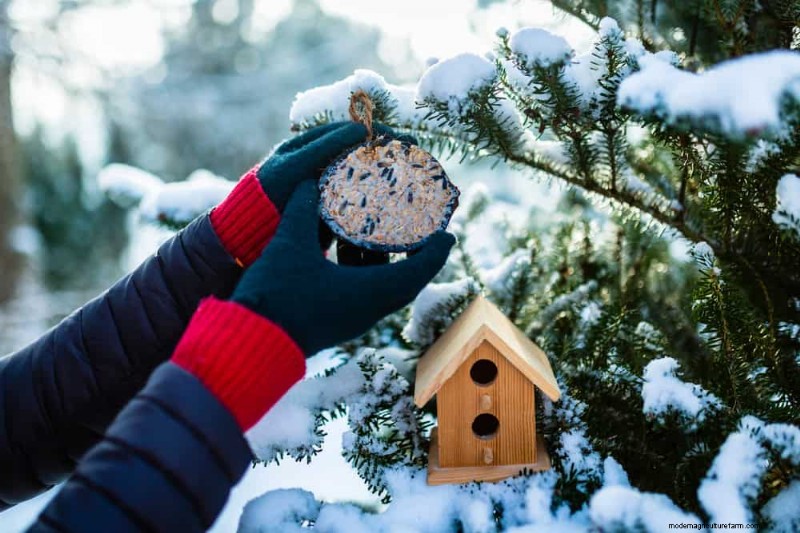 Sblocca il giardinaggio invernale:7 benefici inaspettati per la salute e il raccolto 