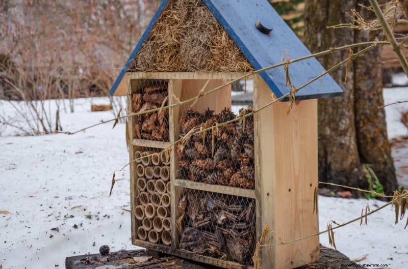 Sblocca il giardinaggio invernale:7 benefici inaspettati per la salute e il raccolto 