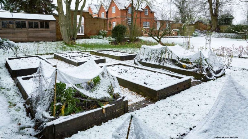 Sblocca il giardinaggio invernale:7 benefici inaspettati per la salute e il raccolto 