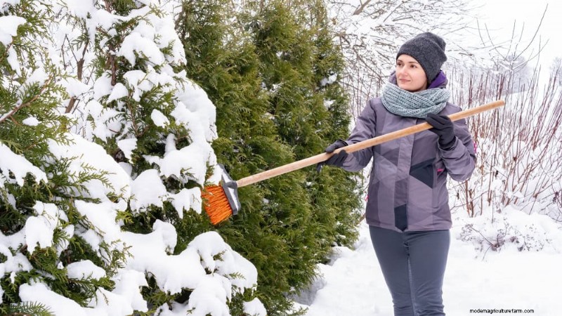 Sblocca il giardinaggio invernale:7 benefici inaspettati per la salute e il raccolto 