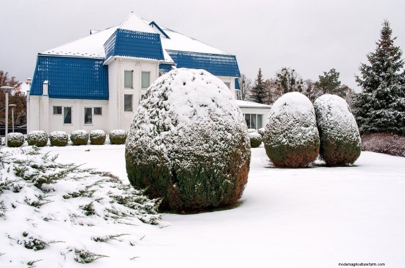Combinações de jardins perenes:15 designs aprovados por paisagistas para a beleza do inverno 