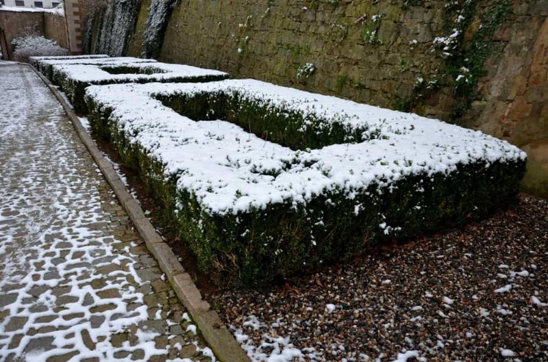 Combinações de jardins perenes:15 designs aprovados por paisagistas para a beleza do inverno 