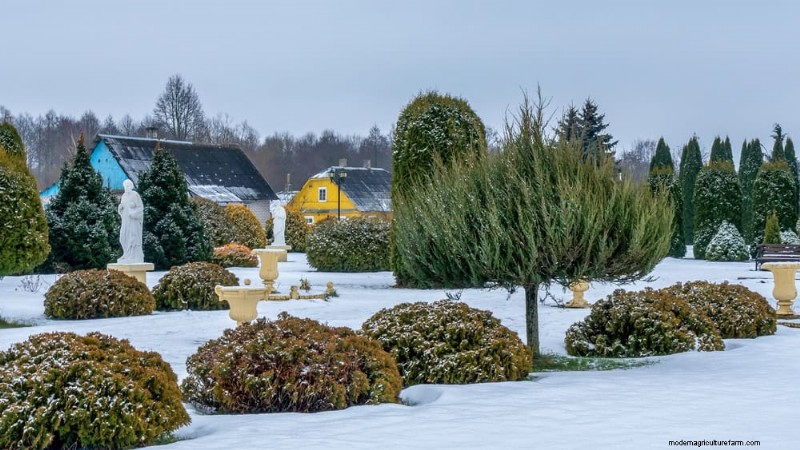 Combinações de jardins perenes:15 designs aprovados por paisagistas para a beleza do inverno 
