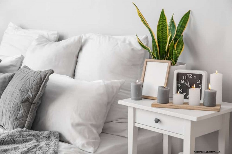 Voordelen van Snake Plant voor slaapkamers:Verbeter de luchtkwaliteit en slaap 