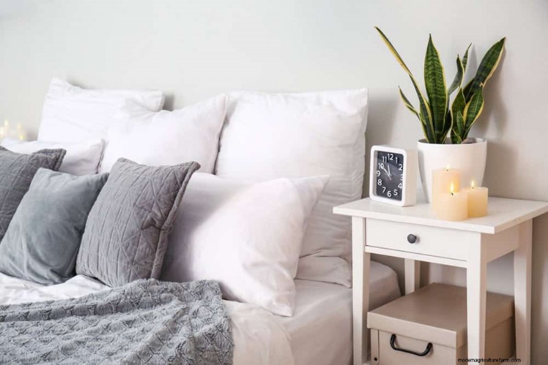 Voordelen van Snake Plant voor slaapkamers:Verbeter de luchtkwaliteit en slaap 