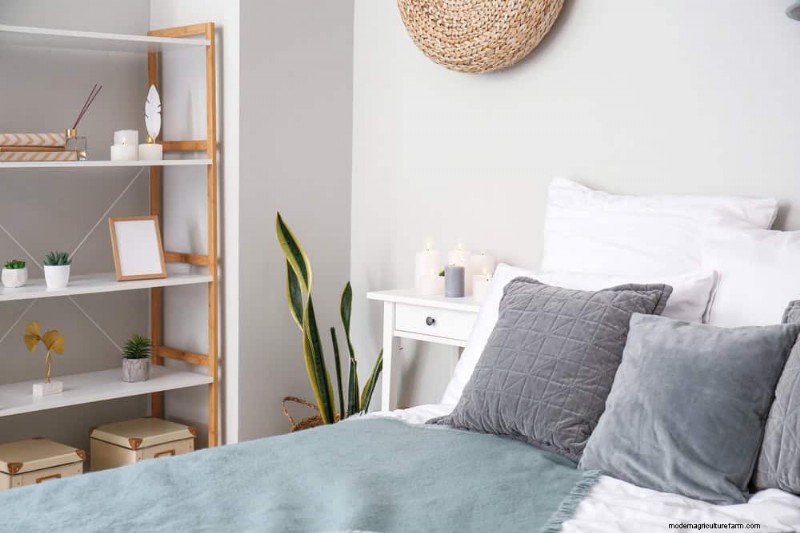 Voordelen van Snake Plant voor slaapkamers:Verbeter de luchtkwaliteit en slaap 