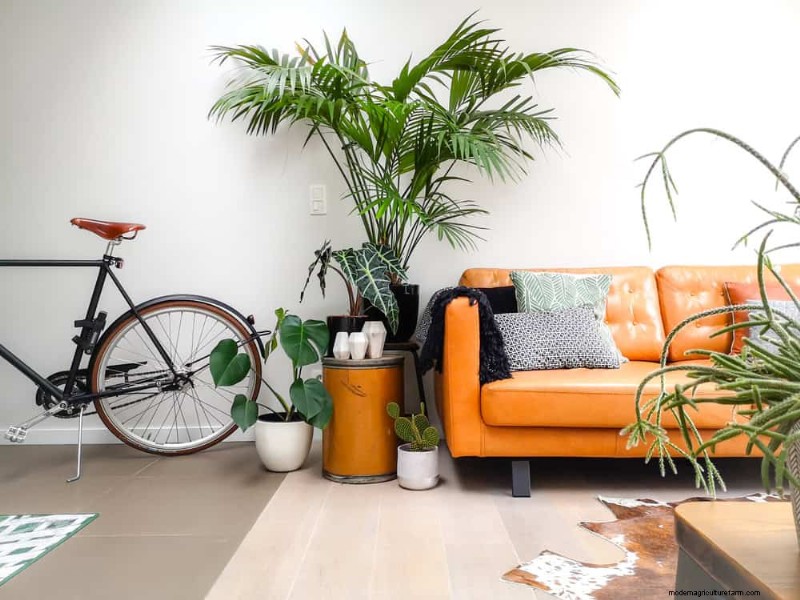 15 beste kamerplanten voor een helderdere, uitnodigendere woonkamer 