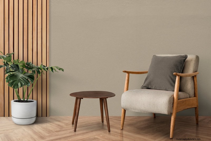 15 beste kamerplanten voor een helderdere, uitnodigendere woonkamer 