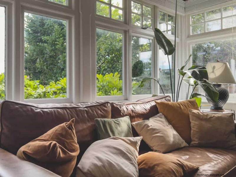 15 beste kamerplanten voor een helderdere, uitnodigendere woonkamer 
