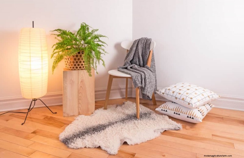 15 beste kamerplanten voor een helderdere, uitnodigendere woonkamer 