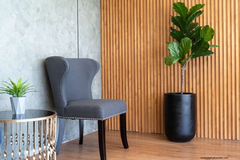 15 beste kamerplanten voor een helderdere, uitnodigendere woonkamer 
