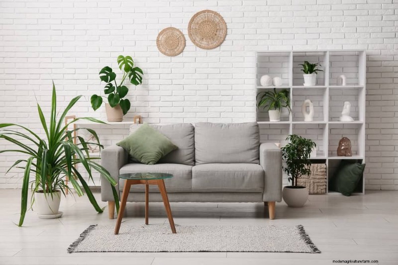 15 splendide composizioni di piante d appartamento per migliorare l arredamento della tua casa 
