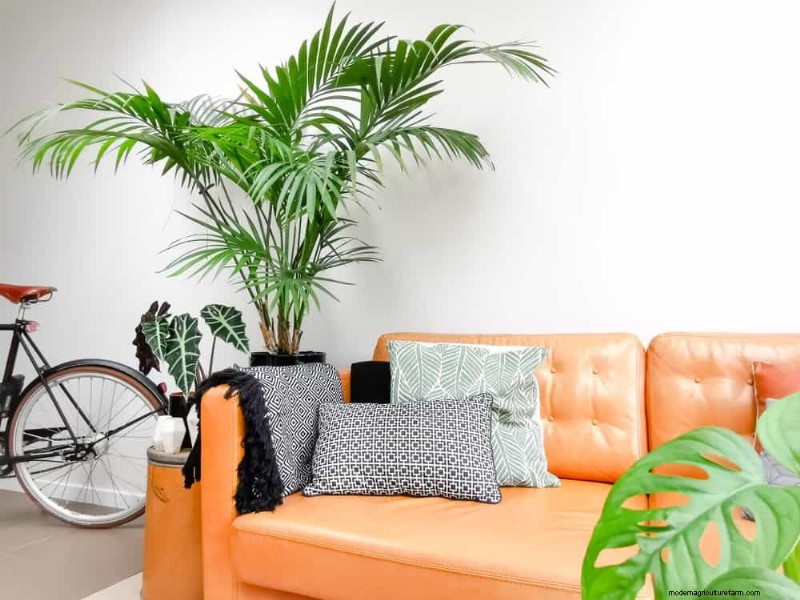 15 splendide composizioni di piante d appartamento per migliorare l arredamento della tua casa 