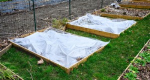 ウィンターガーデンの準備:植物を保護するための包括的なガイド 