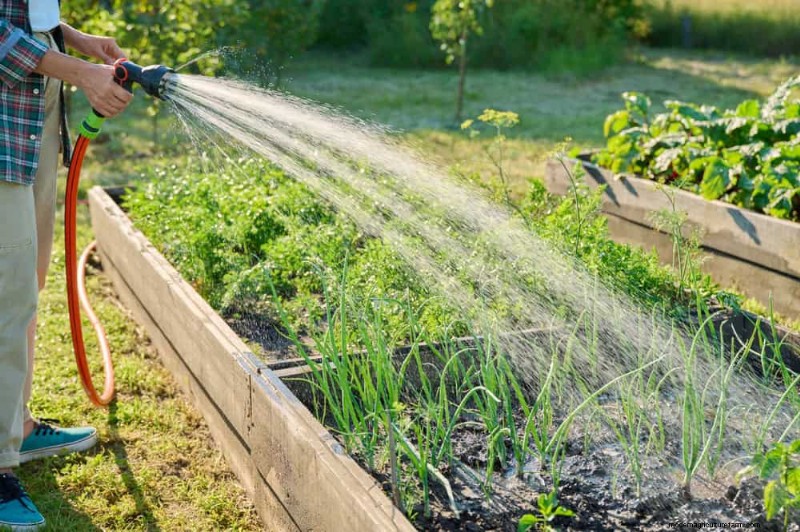 ウィンターガーデンの準備:植物を保護するための包括的なガイド 