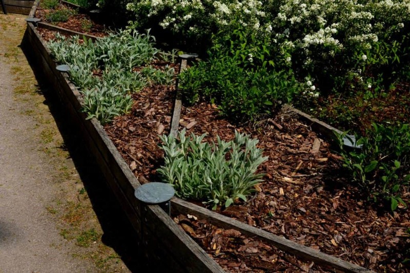 ウィンターガーデンの準備:植物を保護するための包括的なガイド 