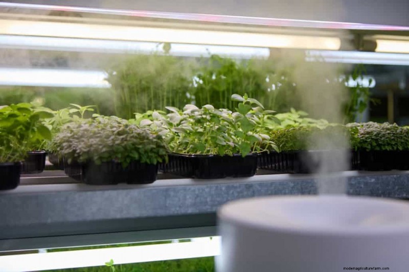 ウィンターガーデンの準備:植物を保護するための包括的なガイド 