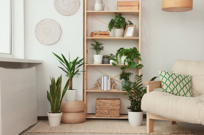 Beste kamerplanten voor kleine ruimtes:15 compacte en mooie variëteiten 