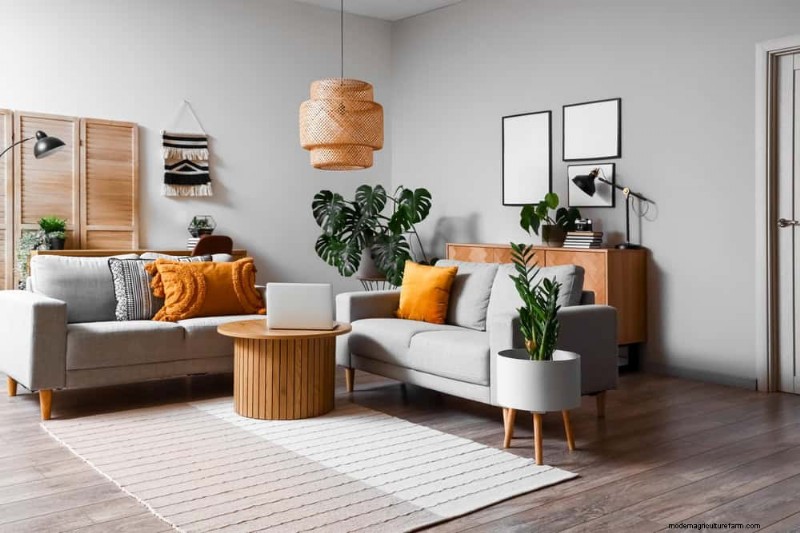 Platzierung von Monstera-Pflanzen:10 kreative Ideen für Ihr Zuhause 
