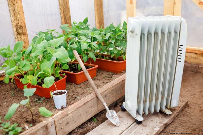 Schützen Sie Ihre Pflanzen vor Frost:Ein Leitfaden für Gärtner 