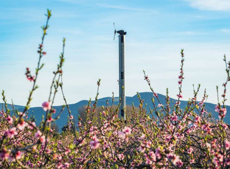 Schützen Sie Ihre Pflanzen vor Frost:Ein Leitfaden für Gärtner 